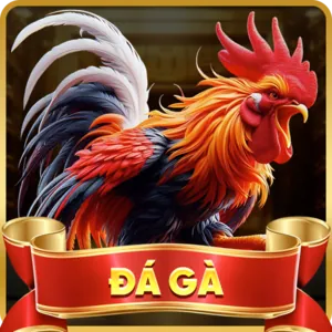 Biểu tượng mã hóa dữ liệu